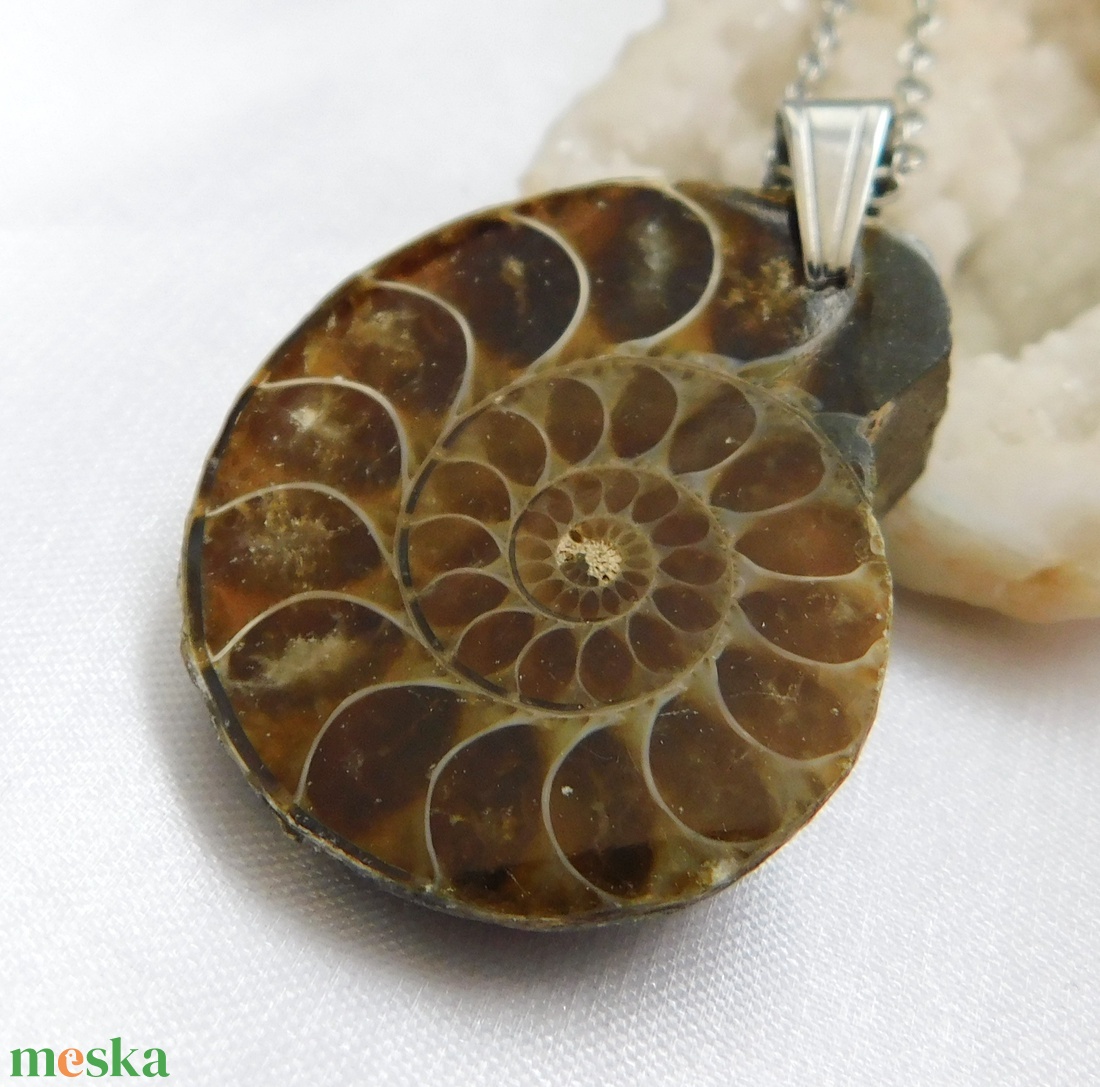 Ammonitesz medál acél láncon - ékszer - nyaklánc - medálos nyaklánc - Meska.hu