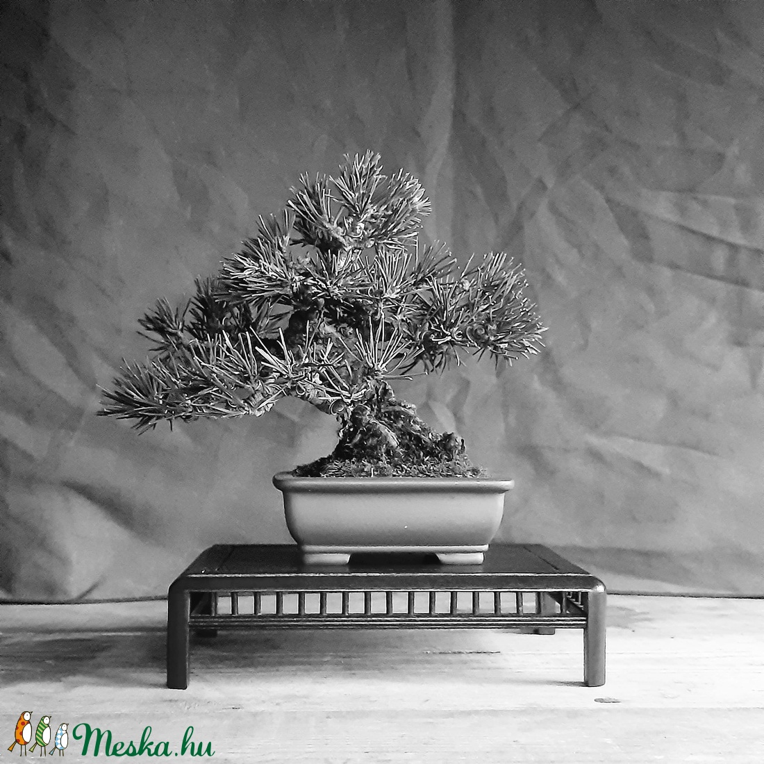 Bonsai tál 19 - otthon & életmód - dekoráció - asztal és polc dekoráció - bonsai - Meska.hu
