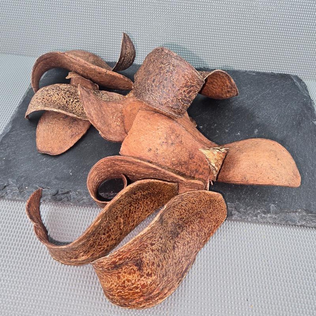 Kobra fej - barna 4 dkg -  - Meska.hu