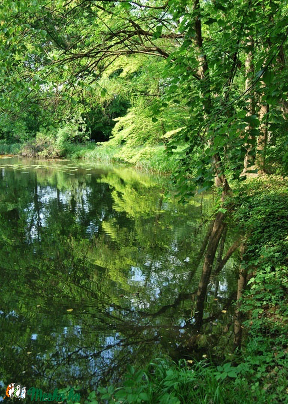 Tükör - fotó - - Meska.hu Tükör - fotó - - Meska.hu