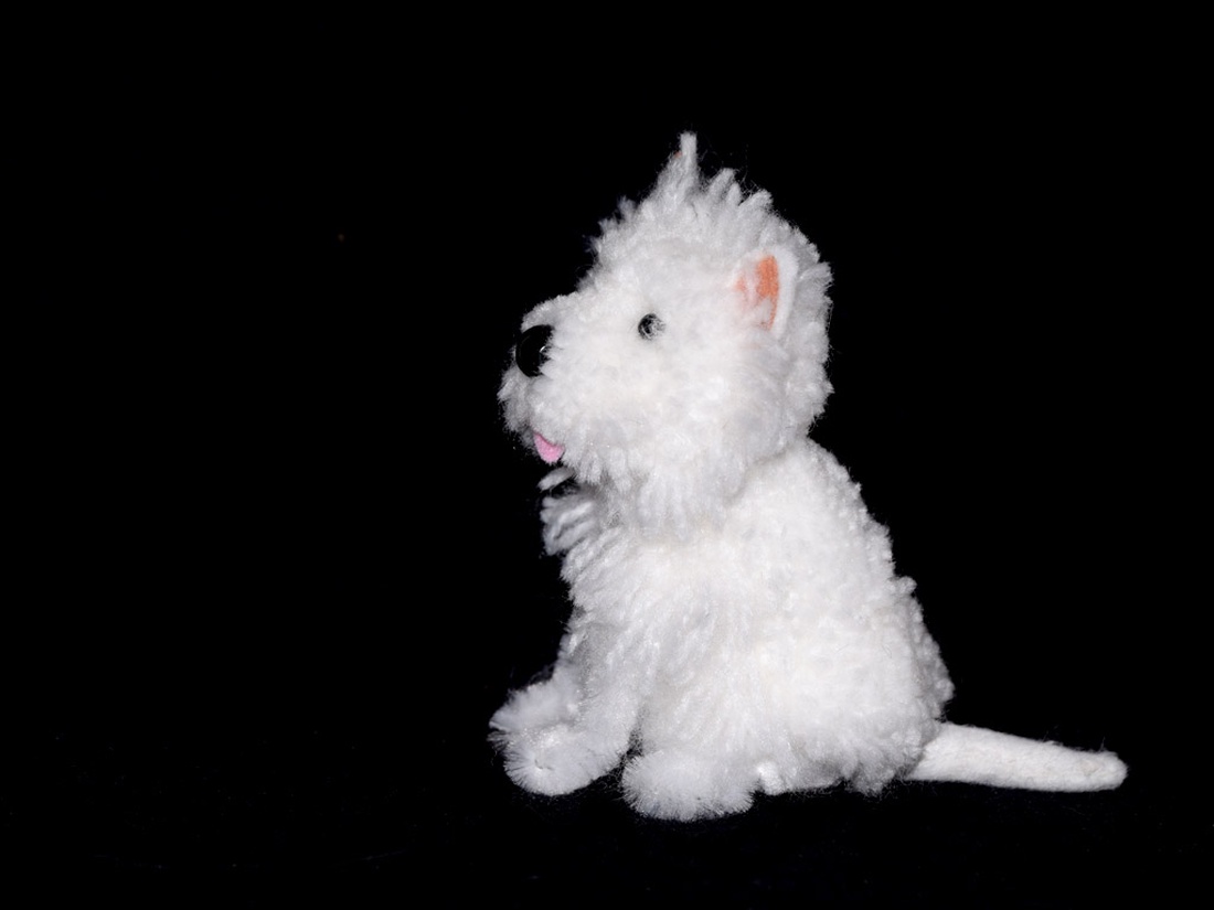 Westie - - Meska.hu Westie - - Meska.hu