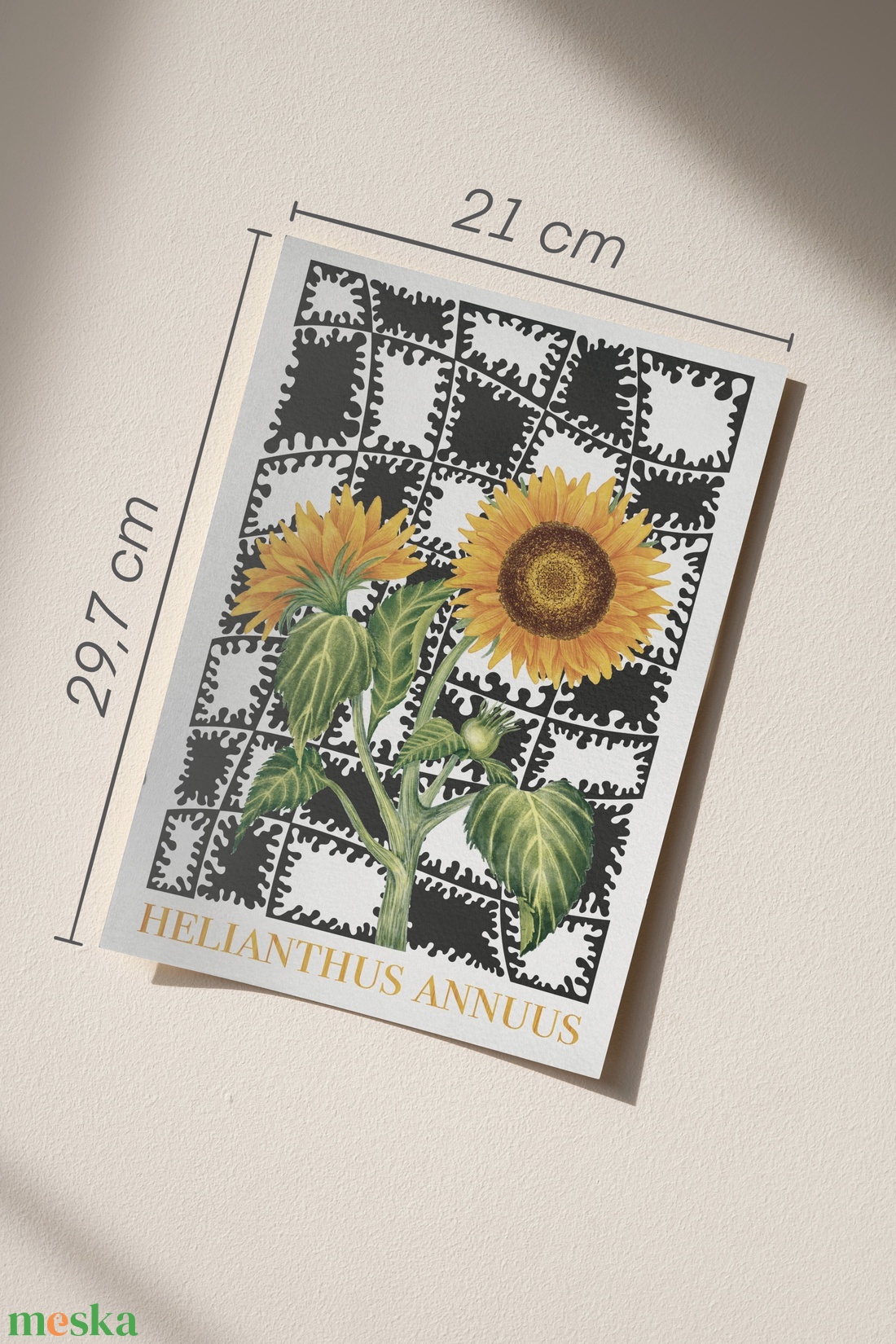 Helianthus annuus print - művészet - grafika & illusztráció - művészi nyomat - Meska.hu Helianthus annuus print - művészet - grafika & illusztráció - művészi nyomat - Meska.hu
