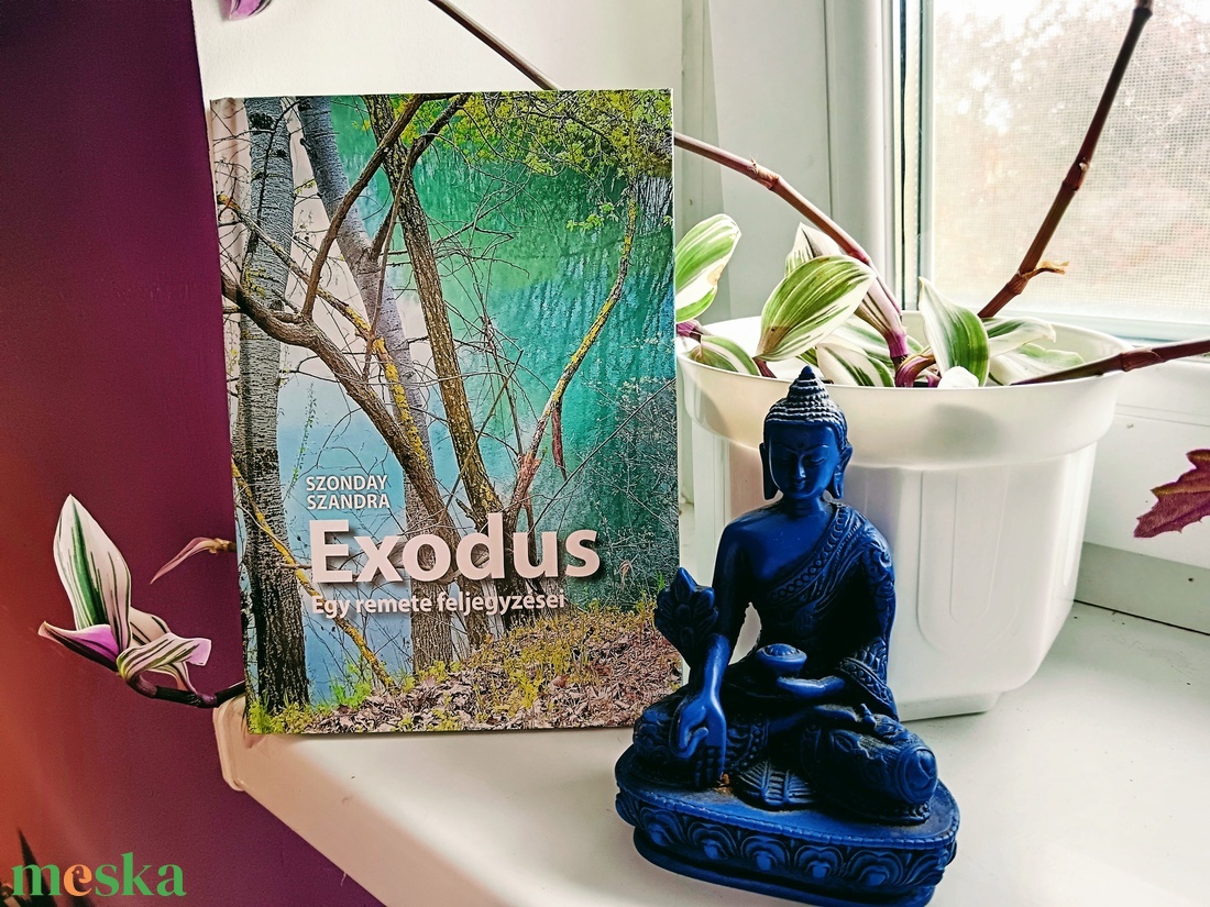 Exodus � Egy remete feljegyzései dedikált, egyedi rajzzal kiegészített verseskötet - otthon & életmód - dekoráció - dekoratív figurák és szobrok - Meska.hu