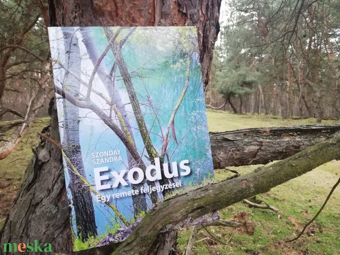 Exodus � Egy remete feljegyzései dedikált, egyedi rajzzal kiegészített verseskötet - otthon & életmód - dekoráció - dekoratív figurák és szobrok - Meska.hu