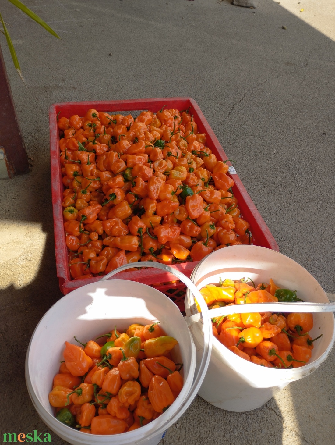 Chilis Ajvár 130 ml - élelmiszer - fűszer - Meska.hu