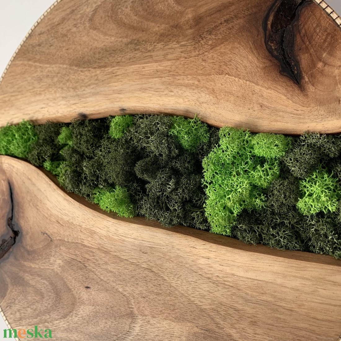 Kör alakú zuzmó falikép természetes fa alapon - otthon & életmód - dekoráció - asztal és polc dekoráció - zuzmódekoráció, mohadekoráció - Meska.hu