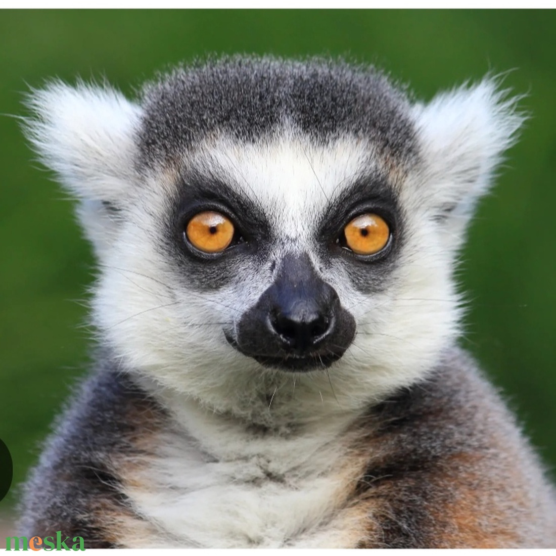 Gyűrűsfarkú maki álarc és farok filcből - ruha & divat - jelmez & álarc - álarc - Meska.hu