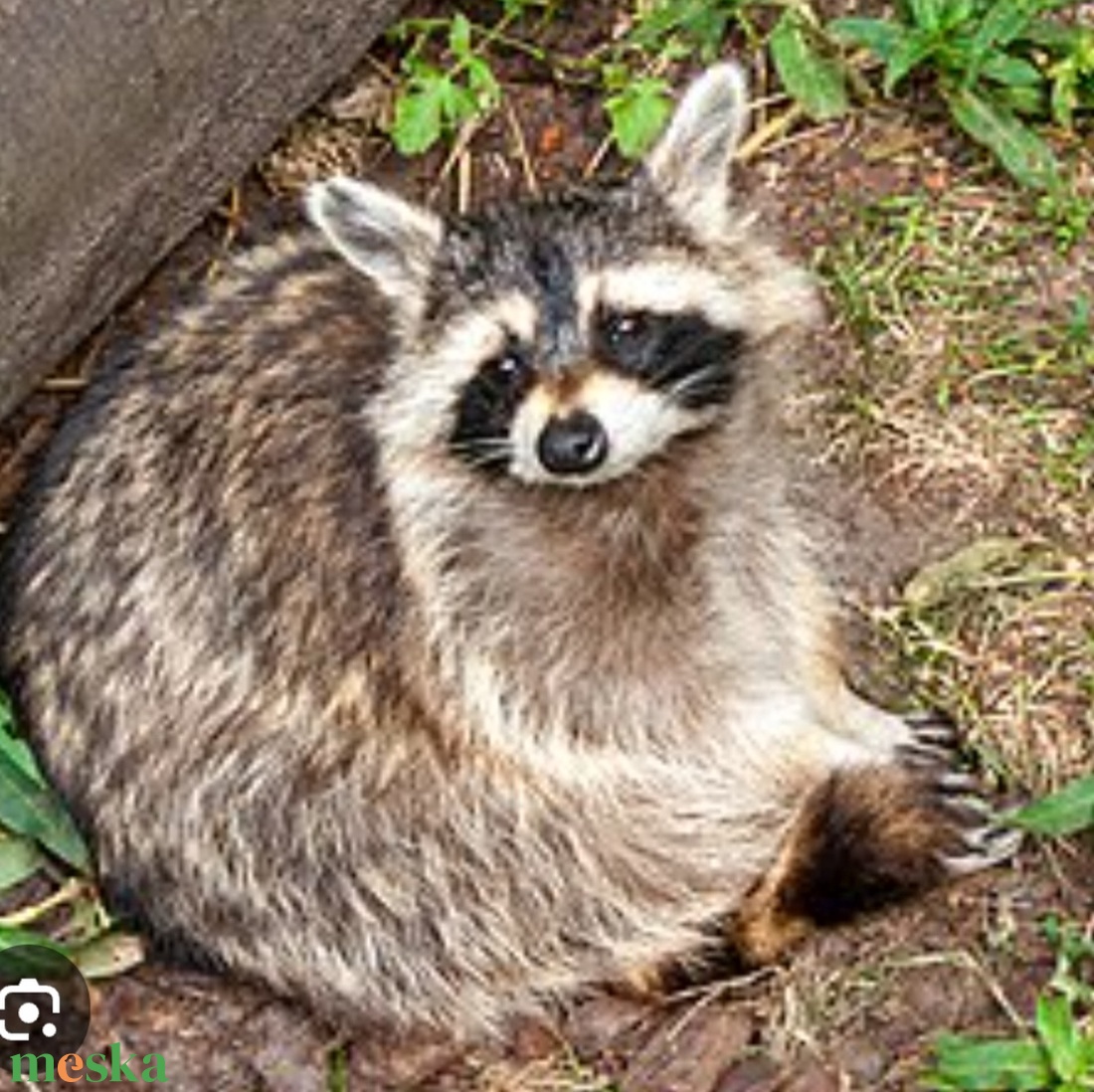 Mosómedve álarc és farok filcből - ruha & divat - jelmez & álarc - álarc - Meska.hu