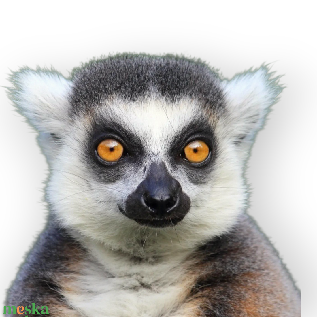 Gyűrűsfarkú maki álarc és farok filcből - ruha & divat - jelmez & álarc - álarc - Meska.hu