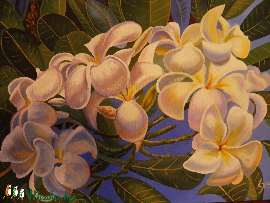 Frangipani - - Meska.hu Frangipani - - Meska.hu