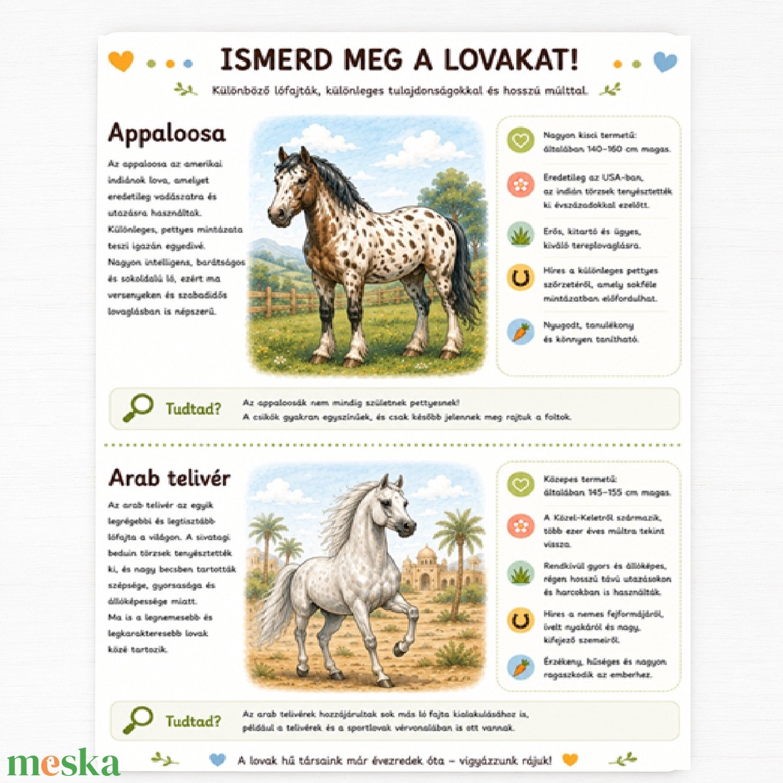 Kalandos Napok � Haladó Lovas Füzet-20 oldalas nyomtatható foglalkoztató füzet - Digitális PDF - 6�8 éves gyerekeknek - játék & sport - készségfejlesztő és logikai játék - oktató játékok - Meska.hu