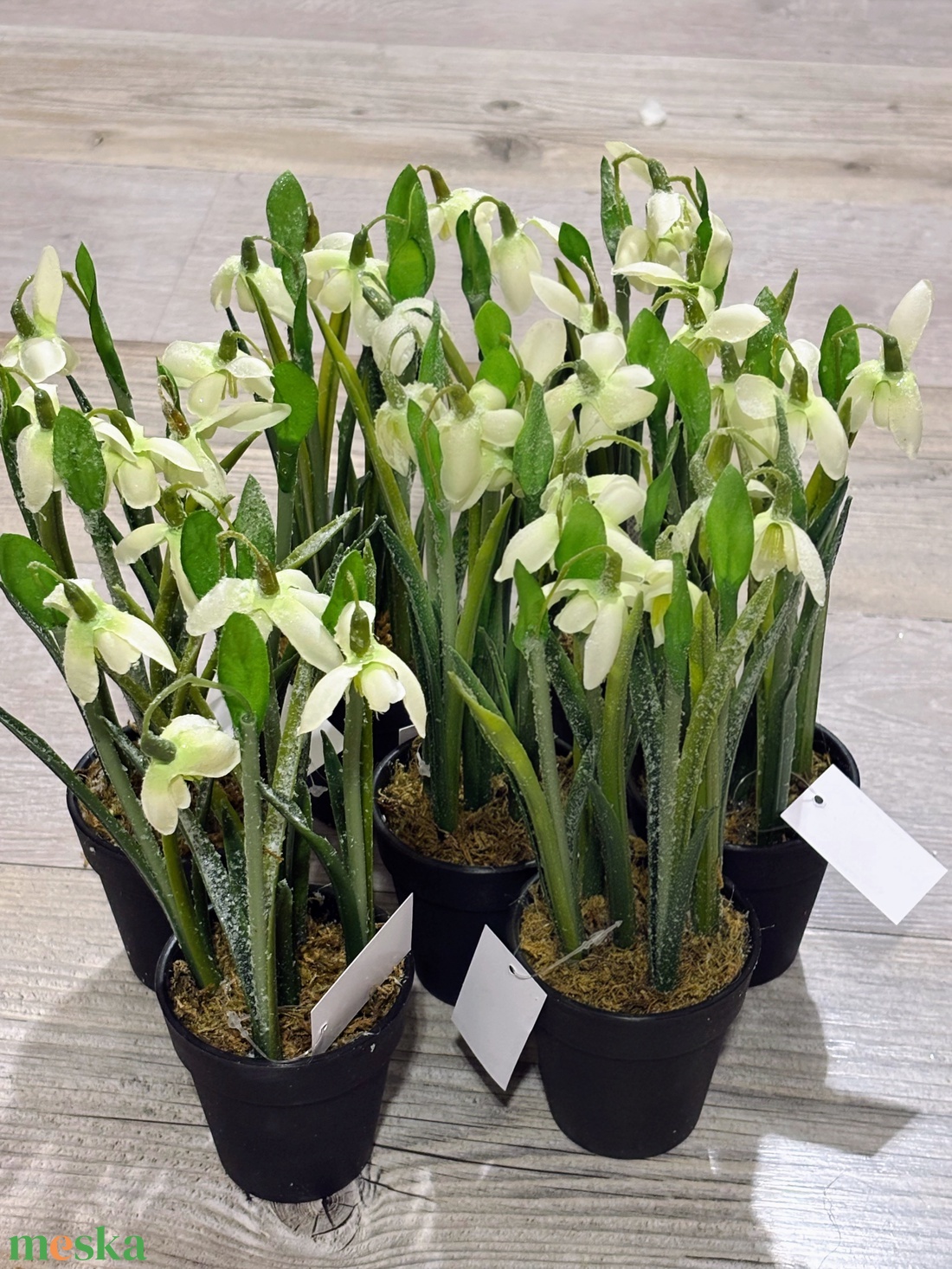 Hóvirág deres ,cserepes  - otthon & életmód - dekoráció - asztal és polc dekoráció - asztaldísz - Meska.hu