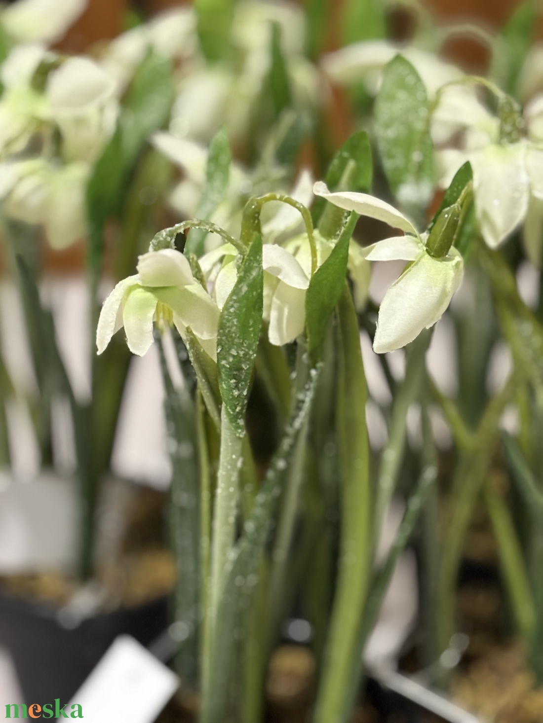 Hóvirág deres ,cserepes  - otthon & életmód - dekoráció - asztal és polc dekoráció - asztaldísz - Meska.hu