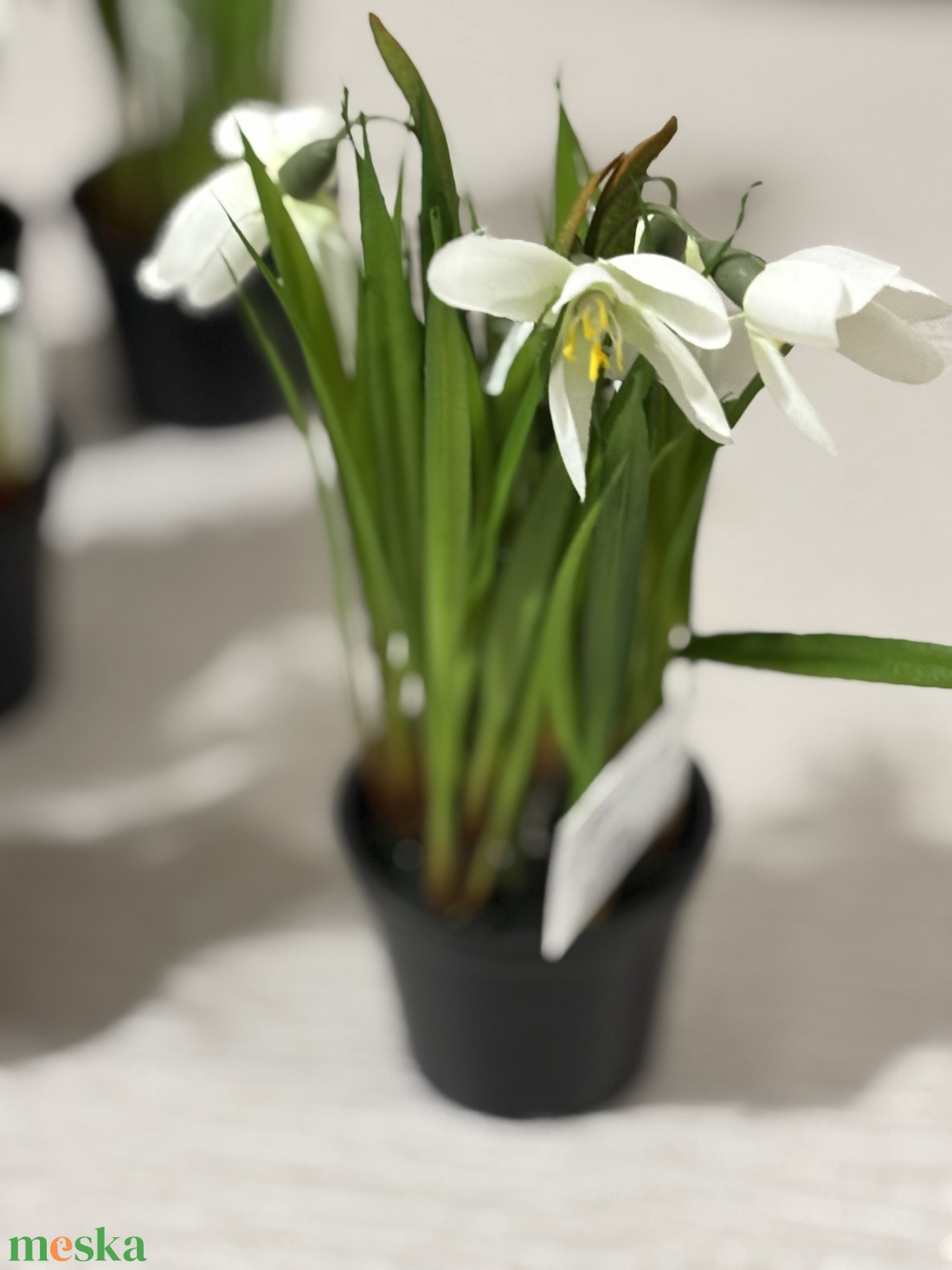 Hóvirág cserepes  - otthon & életmód - dekoráció - asztal és polc dekoráció - asztaldísz - Meska.hu