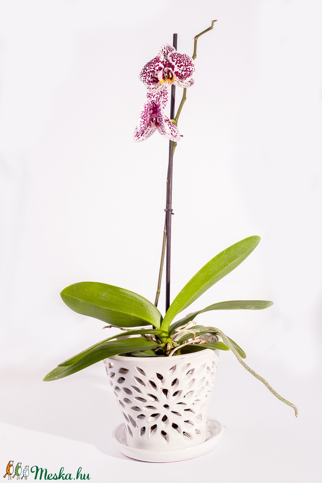Orchidea kerámia kaspó - otthon & életmód - ház & kert - ház & kert - Meska.hu