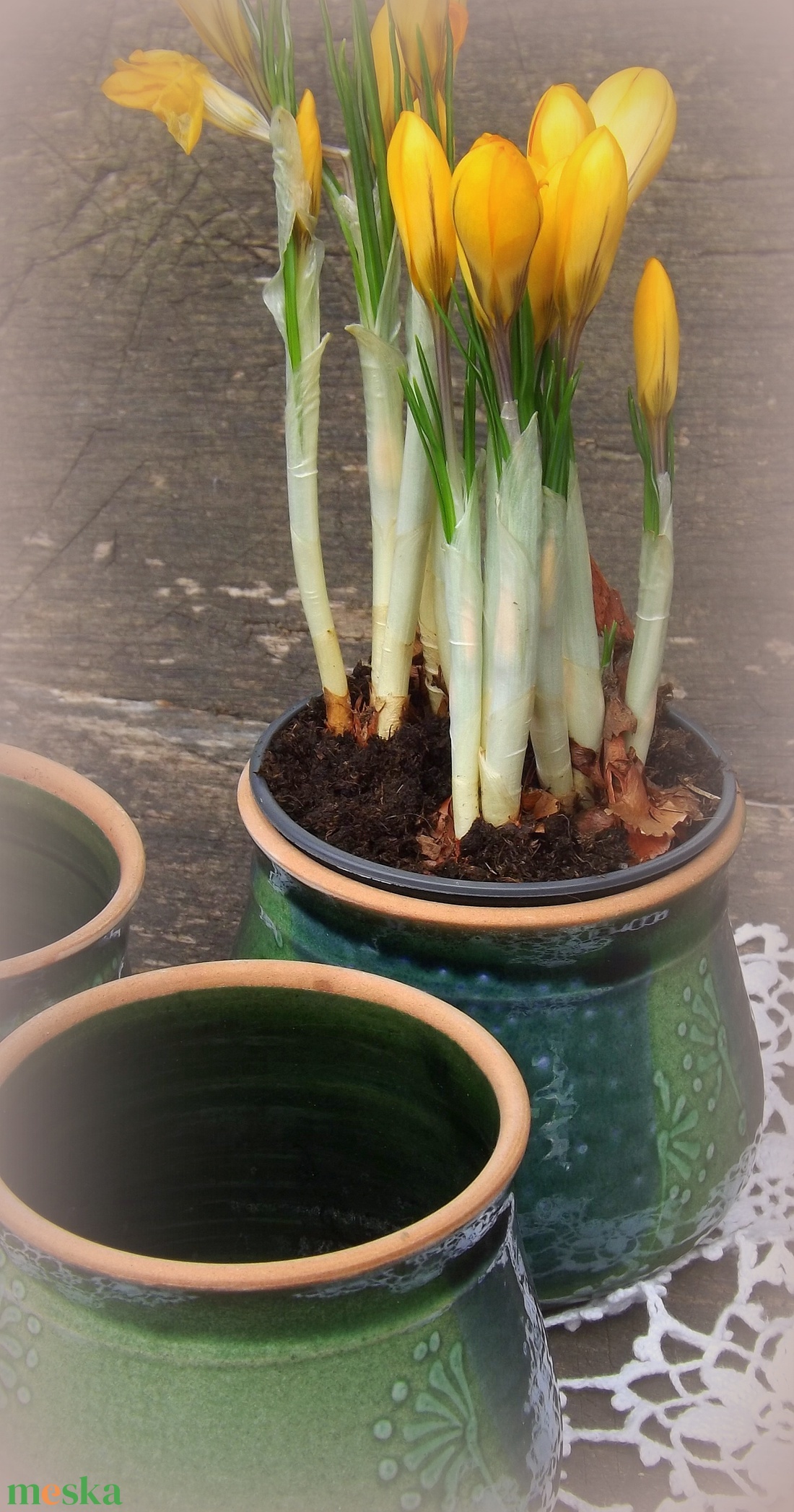 virág kaspók  -  - Meska.hu