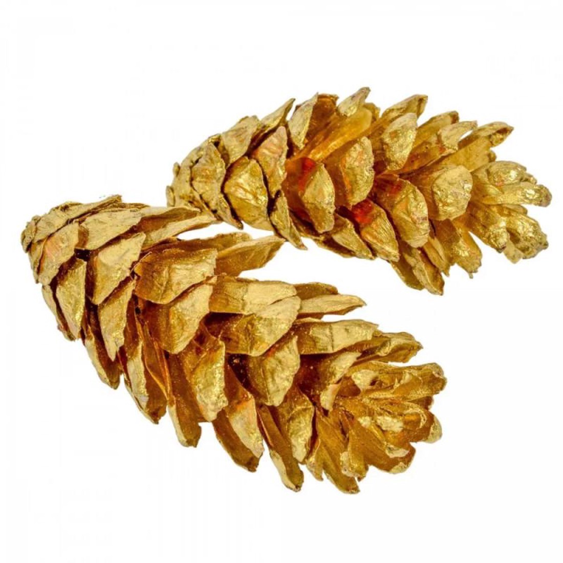 Strobus toboz 10-18 cm-es 6db - arany - kellékek & szerszámok - dekorációs kellékek - toboz - Meska.hu Strobus toboz 10-18 cm-es 6db - arany - kellékek & szerszámok - dekorációs kellékek - toboz - Meska.hu