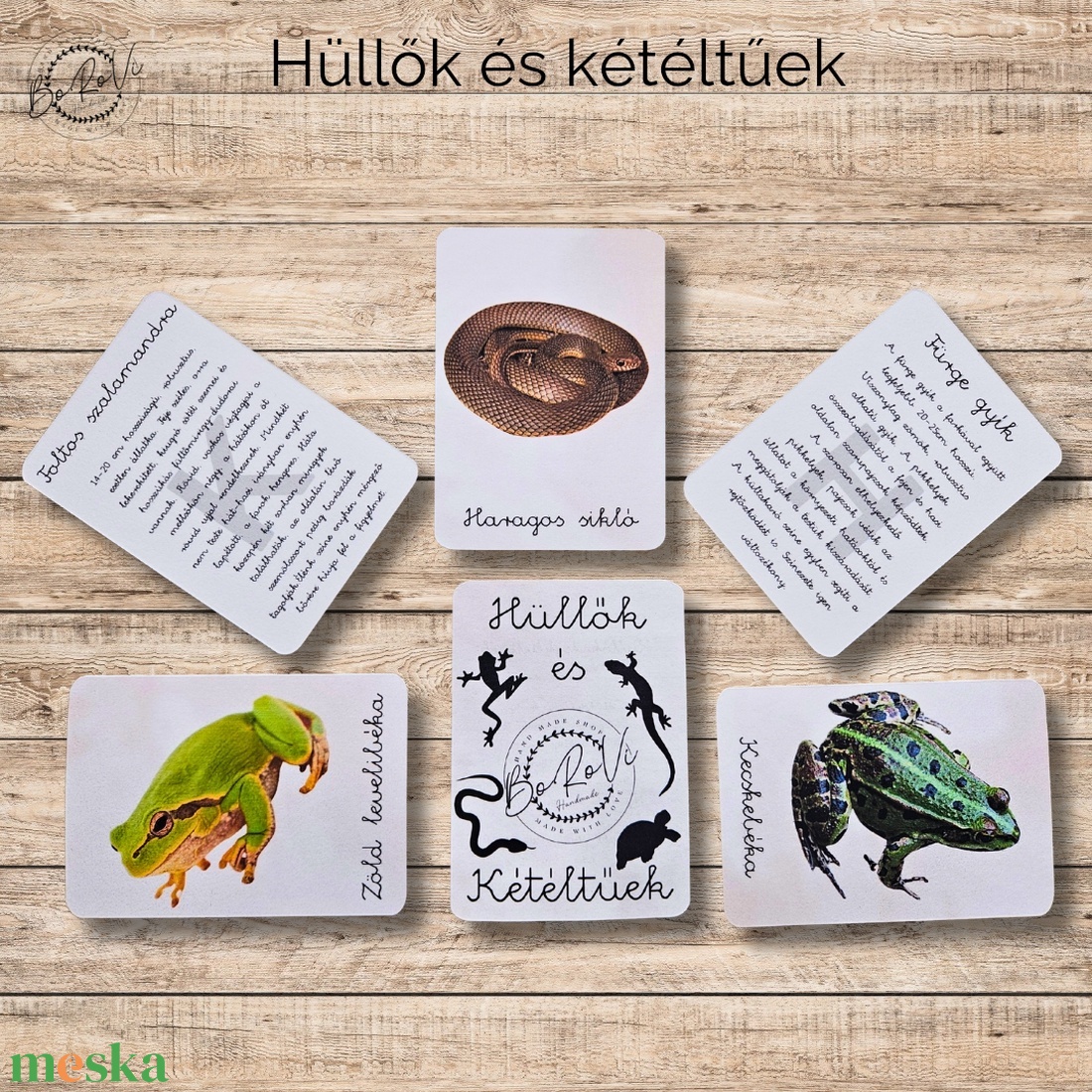 Hüllők és kétéltűek Ismeretterjesztő kártyacsomag  - játék & sport - táblajáték és kártyajáték - kártya - Meska.hu