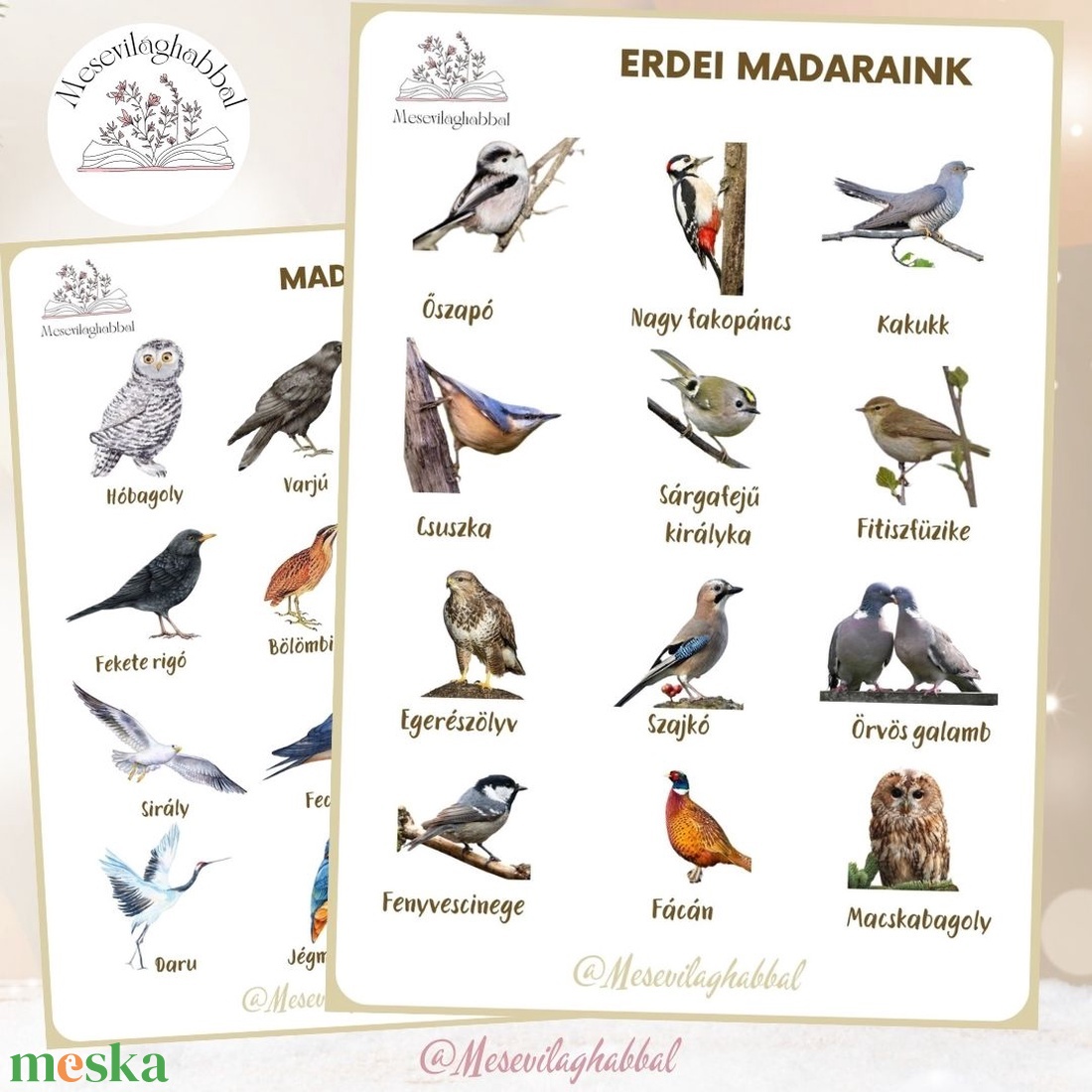 Poszter kerti madarak erdei madarak madaras madaraink - játék & sport - készségfejlesztő és logikai játék - memória játékok - Meska.hu Poszter kerti madarak erdei madarak madaras madaraink - játék & sport - készségfejlesztő és logikai játék - memória játékok - Meska.hu