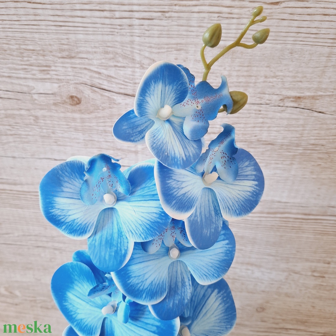 Orchidea dekoráció kerámia kaspóban-kék - otthon & életmód - dekoráció - asztal és polc dekoráció - asztaldísz - Meska.hu Orchidea dekoráció kerámia kaspóban-kék - otthon & életmód - dekoráció - asztal és polc dekoráció - asztaldísz - Meska.hu