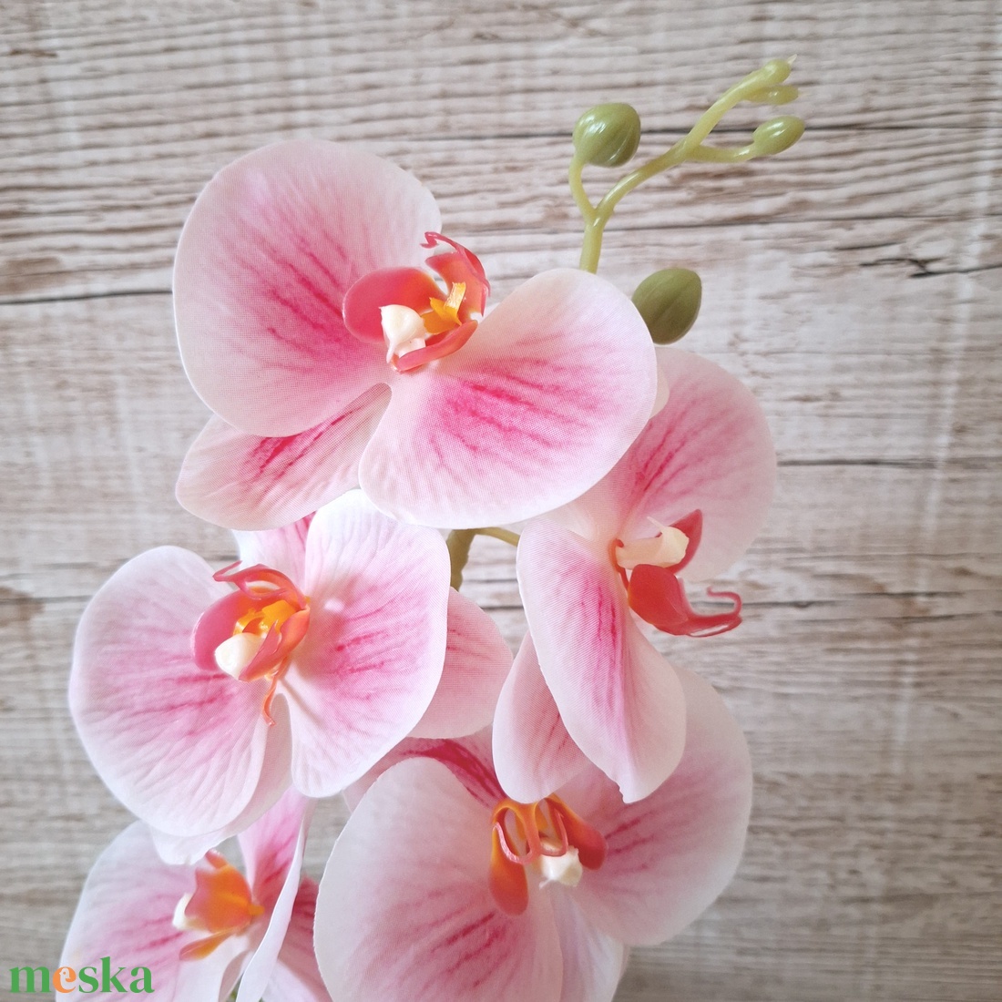 Orchidea dekoráció kerámia kaspóban I. - otthon & életmód - dekoráció - asztal és polc dekoráció - asztaldísz - Meska.hu Orchidea dekoráció kerámia kaspóban I. - otthon & életmód - dekoráció - asztal és polc dekoráció - asztaldísz - Meska.hu