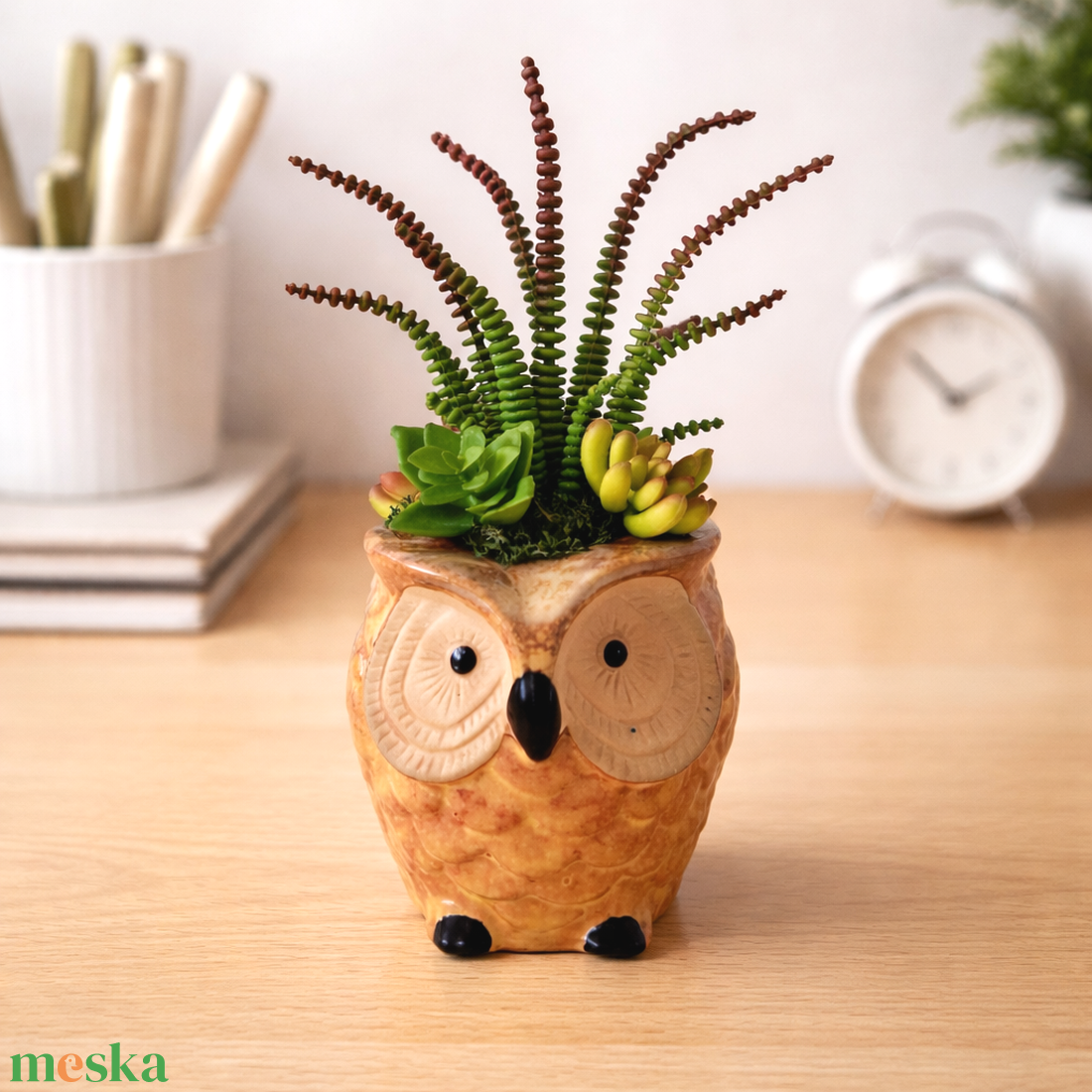 Pozsgás dekoráció bagoly kaspóban - otthon & életmód - virágdekoráció - virágdíszek - virágdísz kaspóban - Meska.hu