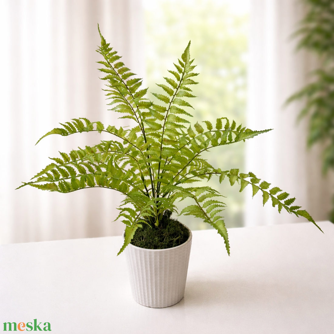 Élethű páfrány kerámia kaspóban - otthon & életmód - virágdekoráció - virágdíszek - virágdísz kaspóban - Meska.hu