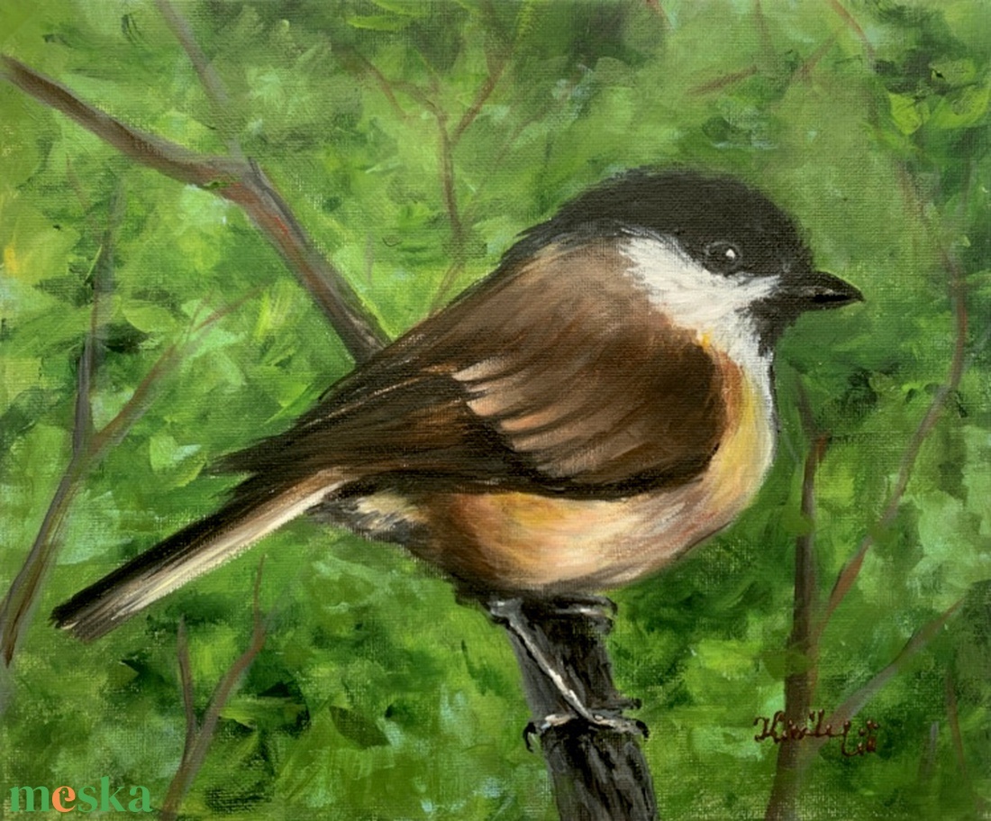 Barátcinege - Akrilfestmény - 25 x 30 cm - művészet - festmény - akril - Meska.hu