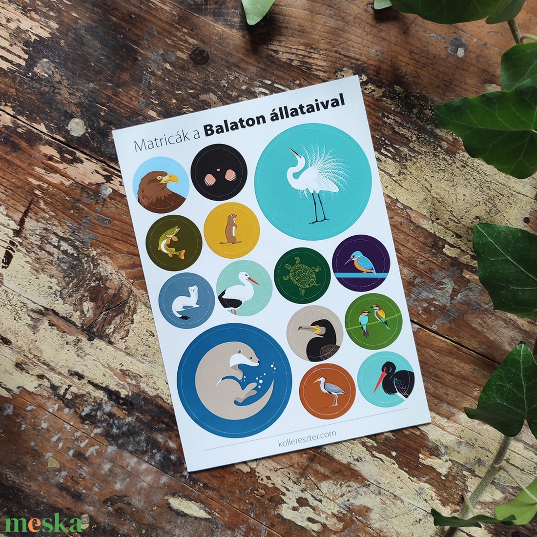 Matricaív (A6-os) � a Balaton állatai - kellékek & szerszámok - dekorációs kellékek - matricaív - Meska.hu
