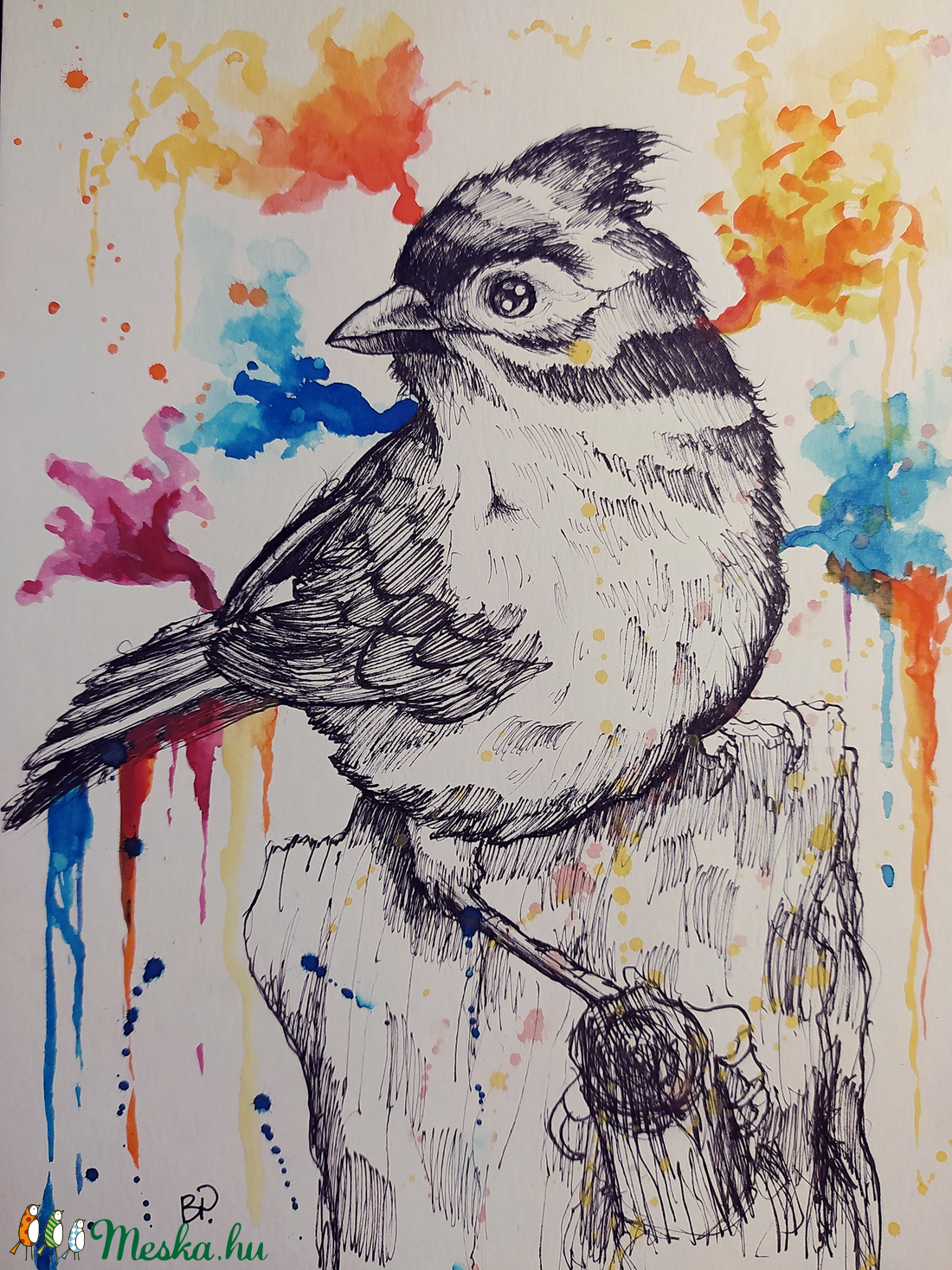 Szajkó (Eredeti alkotás) - művészet - festmény - akvarell - Meska.hu Szajkó (Eredeti alkotás) - művészet - festmény - akvarell - Meska.hu