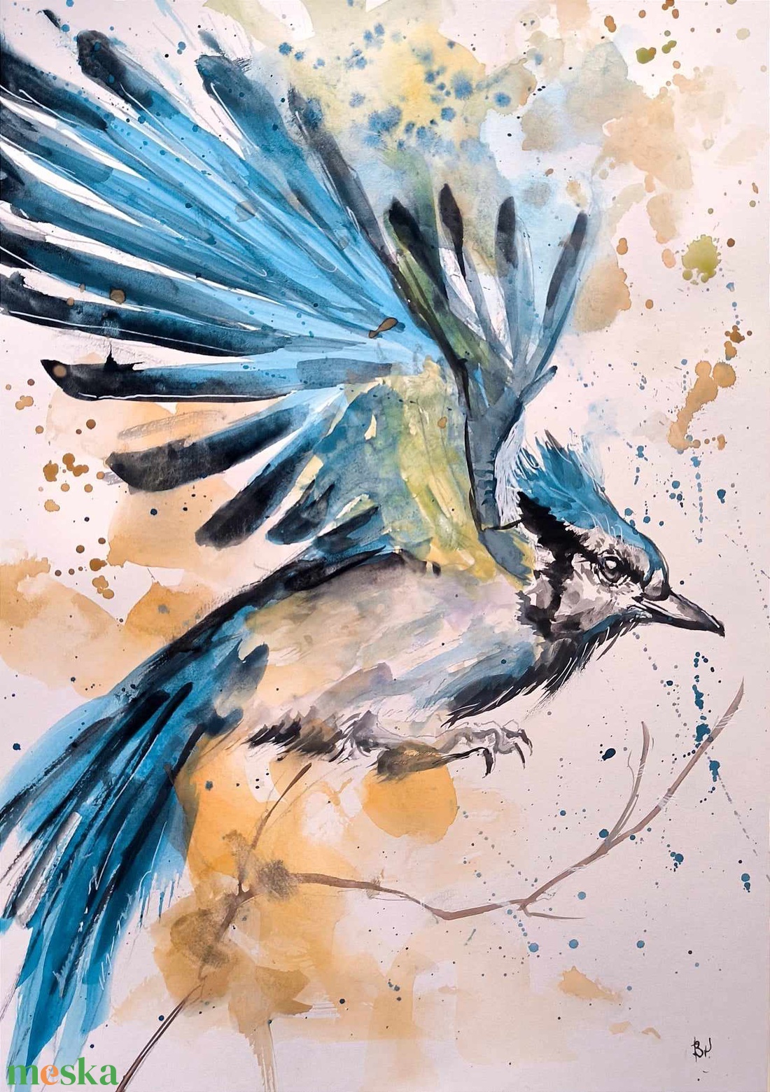 Szajkó akvarell festmény - művészet - festmény - akvarell - Meska.hu Szajkó akvarell festmény - művészet - festmény - akvarell - Meska.hu