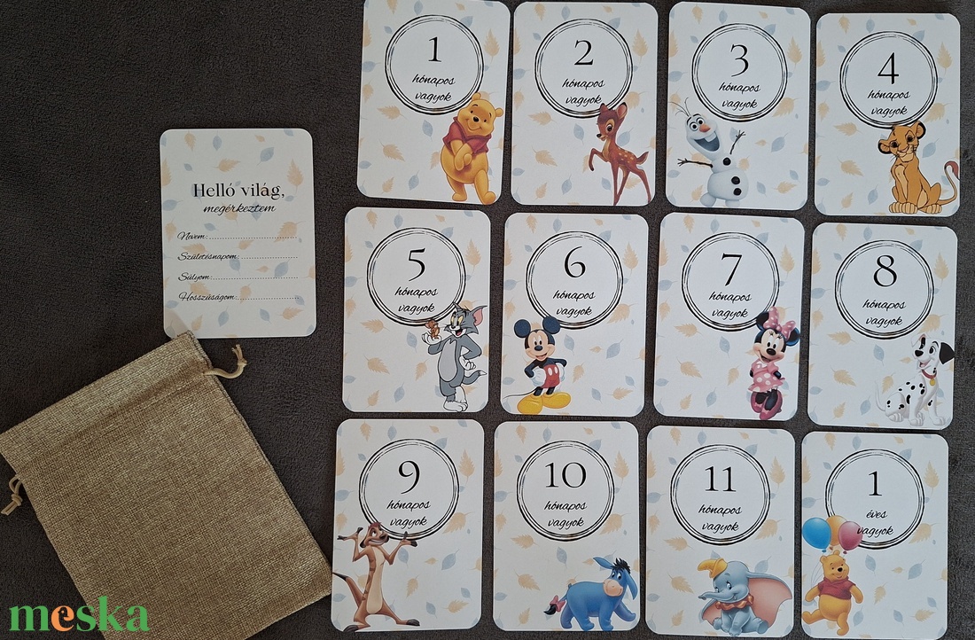 13db-os Baba mérföldkő kártya, babakártya kártyatartóval - baba - mama - babafotózás - baba mérföldkő kártyák - Meska.hu