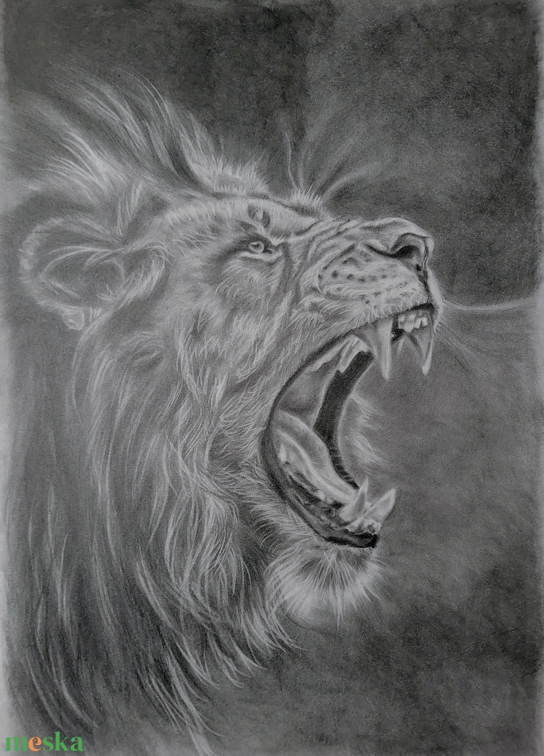 Grafika,  állatrajz A3- as méretben  - művészet - grafika & illusztráció - egyéb rajzok - Meska.hu