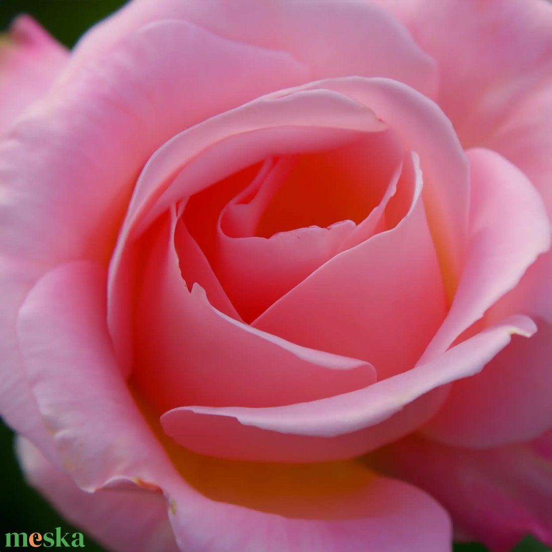 Champagne Rose Diffúzor - otthon & életmód - gyertya, illat, aroma - párologtató - Meska.hu