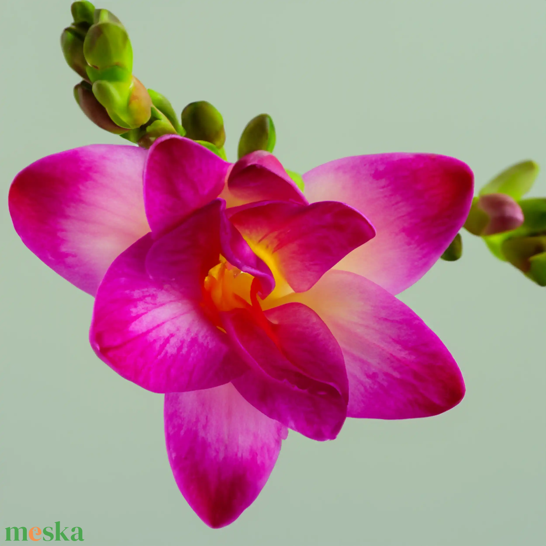 Mademoiselle Charm Diffúzor - otthon & életmód - gyertya, illat, aroma - párologtató - Meska.hu