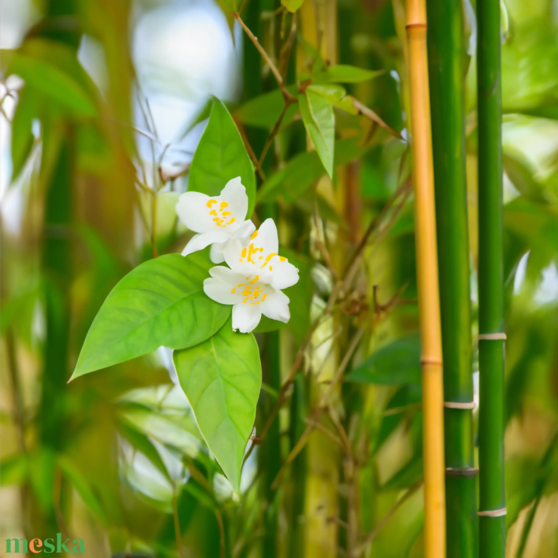 Wild Jasmine - Bamboo Diffúzor - otthon & életmód - gyertya, illat, aroma - párologtató - Meska.hu