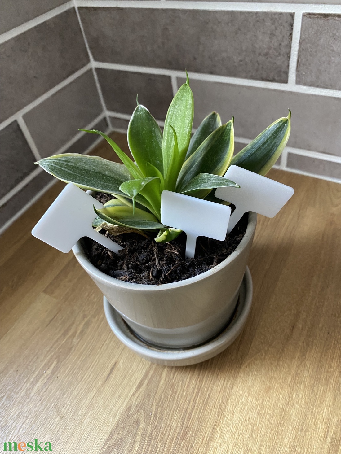 Növényjelölő - otthon & életmód - ház & kert - növény & veteményes - Meska.hu