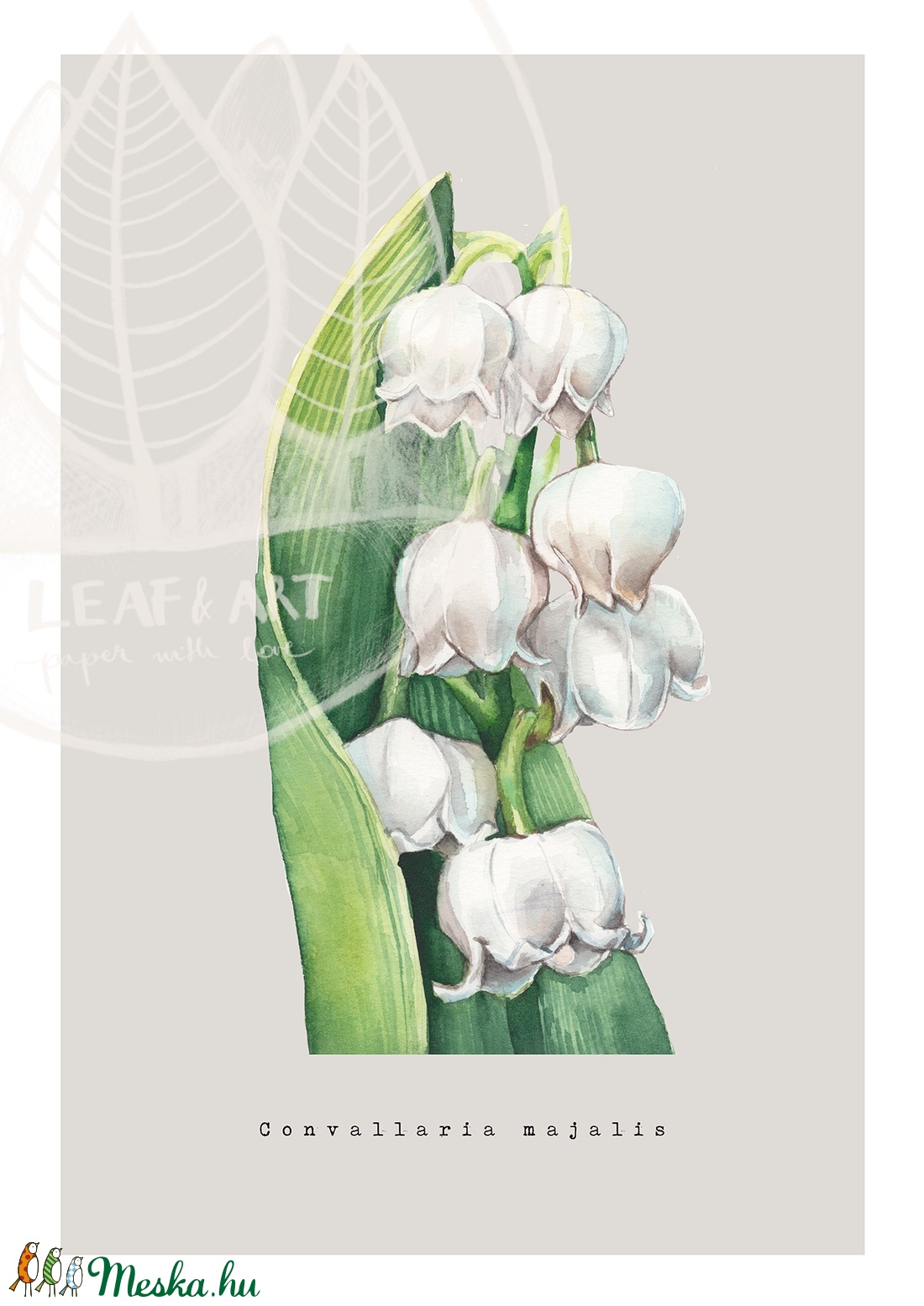 Gyöngyvirág akvarell botanikai illusztráció A4-es méretben - művészet - festmény - akvarell - Meska.hu