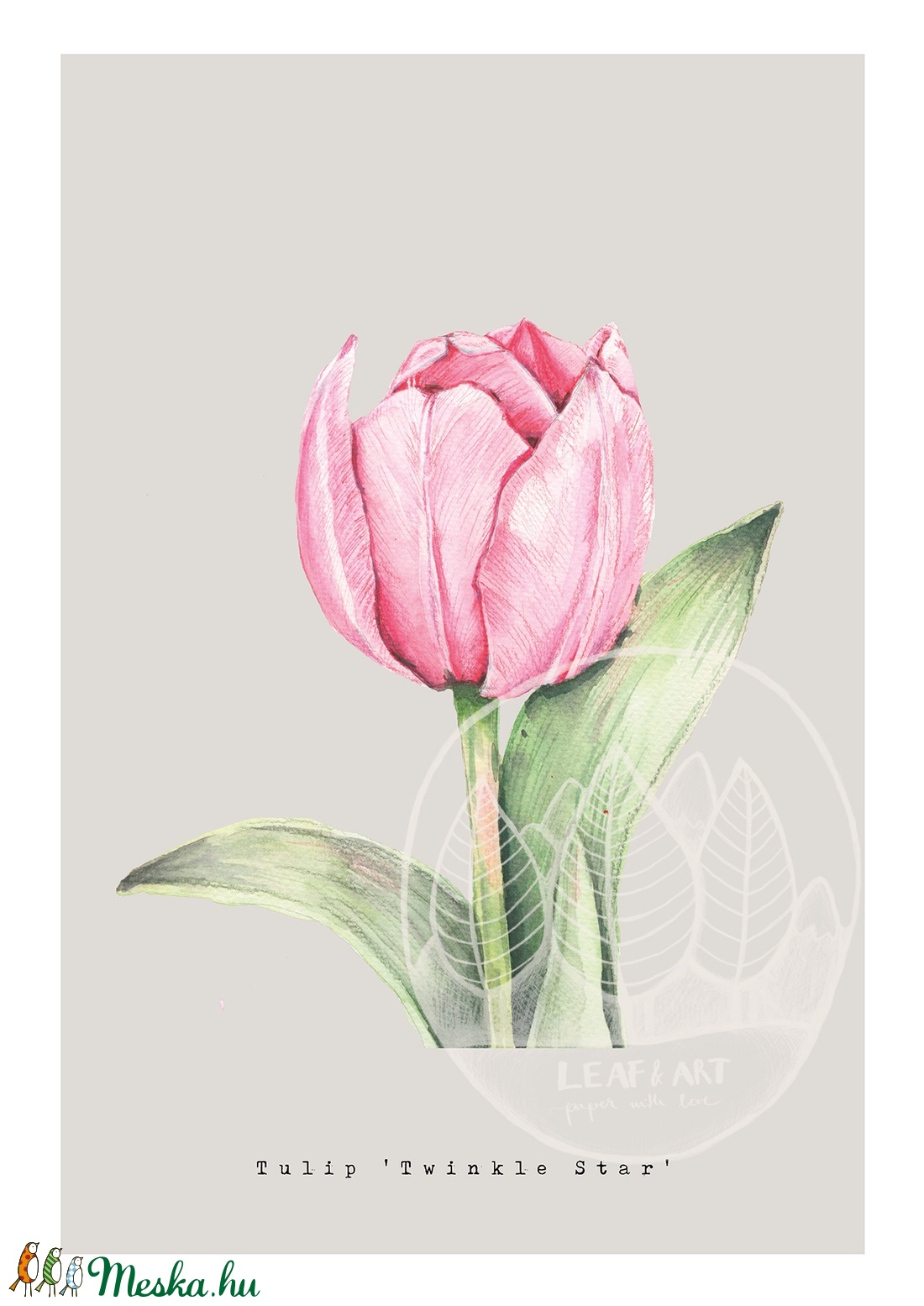 Rózsaszín tulipán akvarell botanikai illusztráció A4-es méretben - művészet - festmény - akvarell - Meska.hu Rózsaszín tulipán akvarell botanikai illusztráció A4-es méretben - művészet - festmény - akvarell - Meska.hu