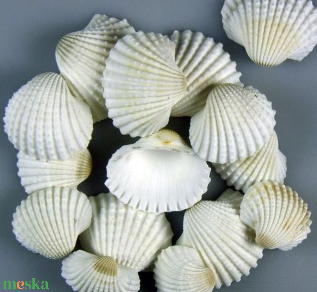 Szívkagyló 2-3 cm-100gr/cs. - kellékek & szerszámok - dekorációs kellékek - egyéb kellékek - Meska.hu