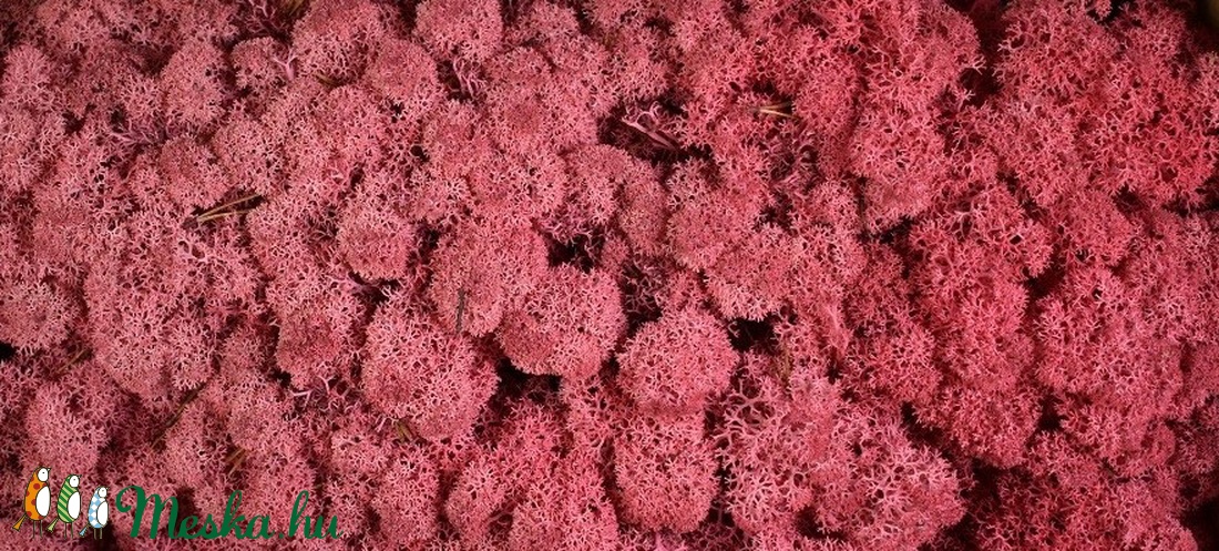 Bársonyos izlandi zuzmó - több színben 500gr/cs. - dekorációs kellékek - egyéb kellékek - Meska.hu Bársonyos izlandi zuzmó - több színben 500gr/cs. - dekorációs kellékek - egyéb kellékek - Meska.hu