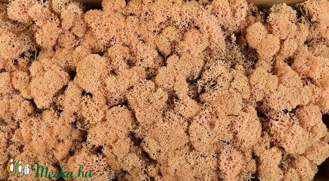 Bársonyos izlandi zuzmó - több színben 500gr/cs. - dekorációs kellékek - egyéb kellékek - Meska.hu Bársonyos izlandi zuzmó - több színben 500gr/cs. - dekorációs kellékek - egyéb kellékek - Meska.hu