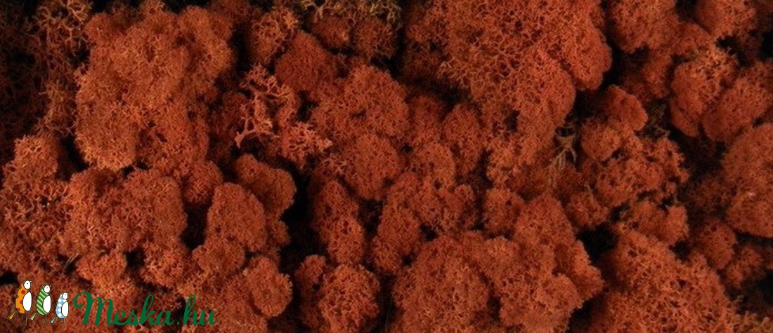 Bársonyos izlandi zuzmó - több színben 500gr/cs. - dekorációs kellékek - egyéb kellékek - Meska.hu Bársonyos izlandi zuzmó - több színben 500gr/cs. - dekorációs kellékek - egyéb kellékek - Meska.hu
