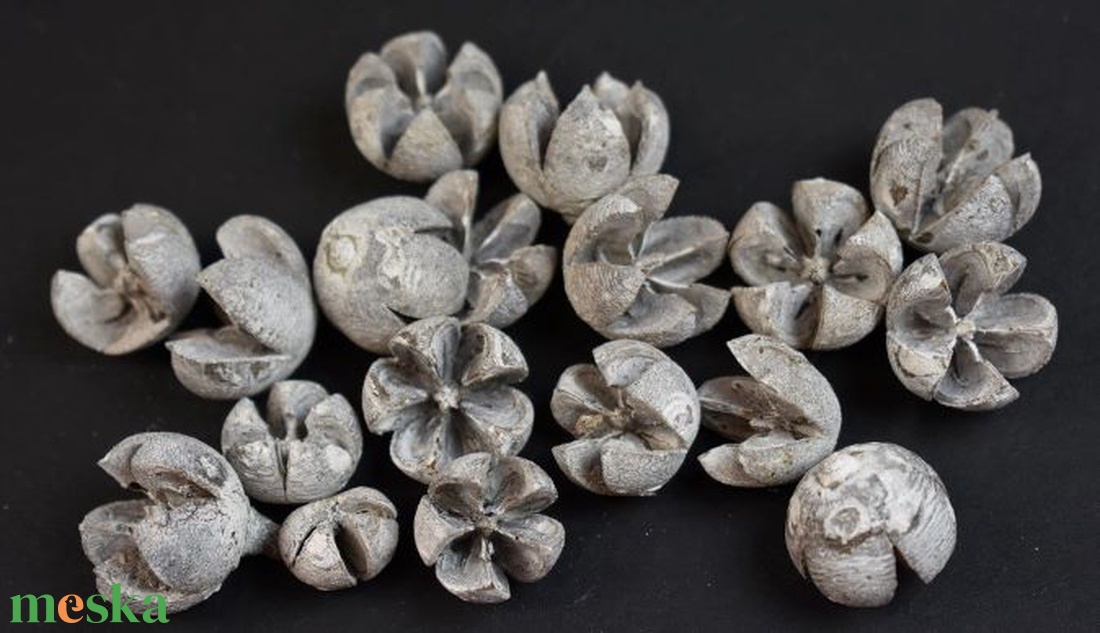 SZT-9032. Tulipán termés több színben 50gr/cs. - kellékek & szerszámok - dekorációs kellékek - egyéb kellékek - Meska.hu SZT-9032. Tulipán termés több színben 50gr/cs. - kellékek & szerszámok - dekorációs kellékek - egyéb kellékek - Meska.hu