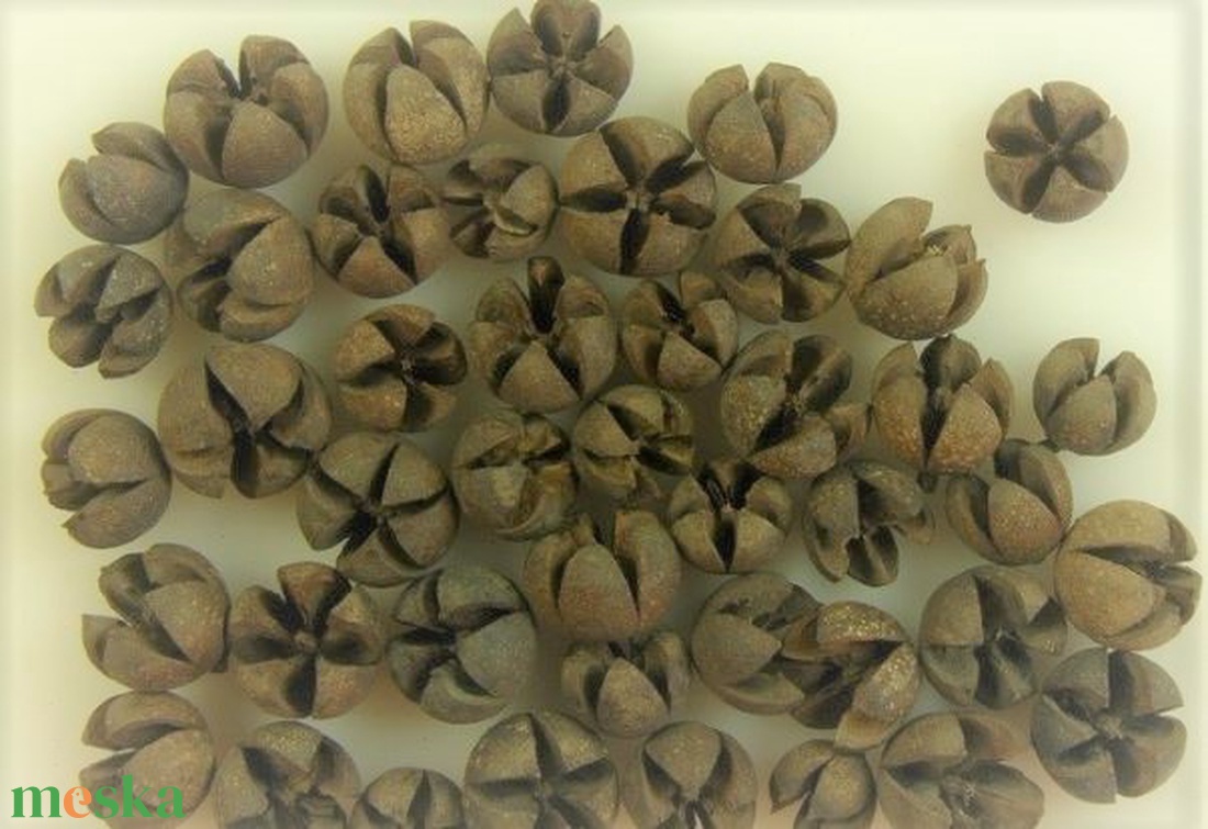 SZT-9032. Tulipán termés több színben 50gr/cs. - kellékek & szerszámok - dekorációs kellékek - egyéb kellékek - Meska.hu SZT-9032. Tulipán termés több színben 50gr/cs. - kellékek & szerszámok - dekorációs kellékek - egyéb kellékek - Meska.hu