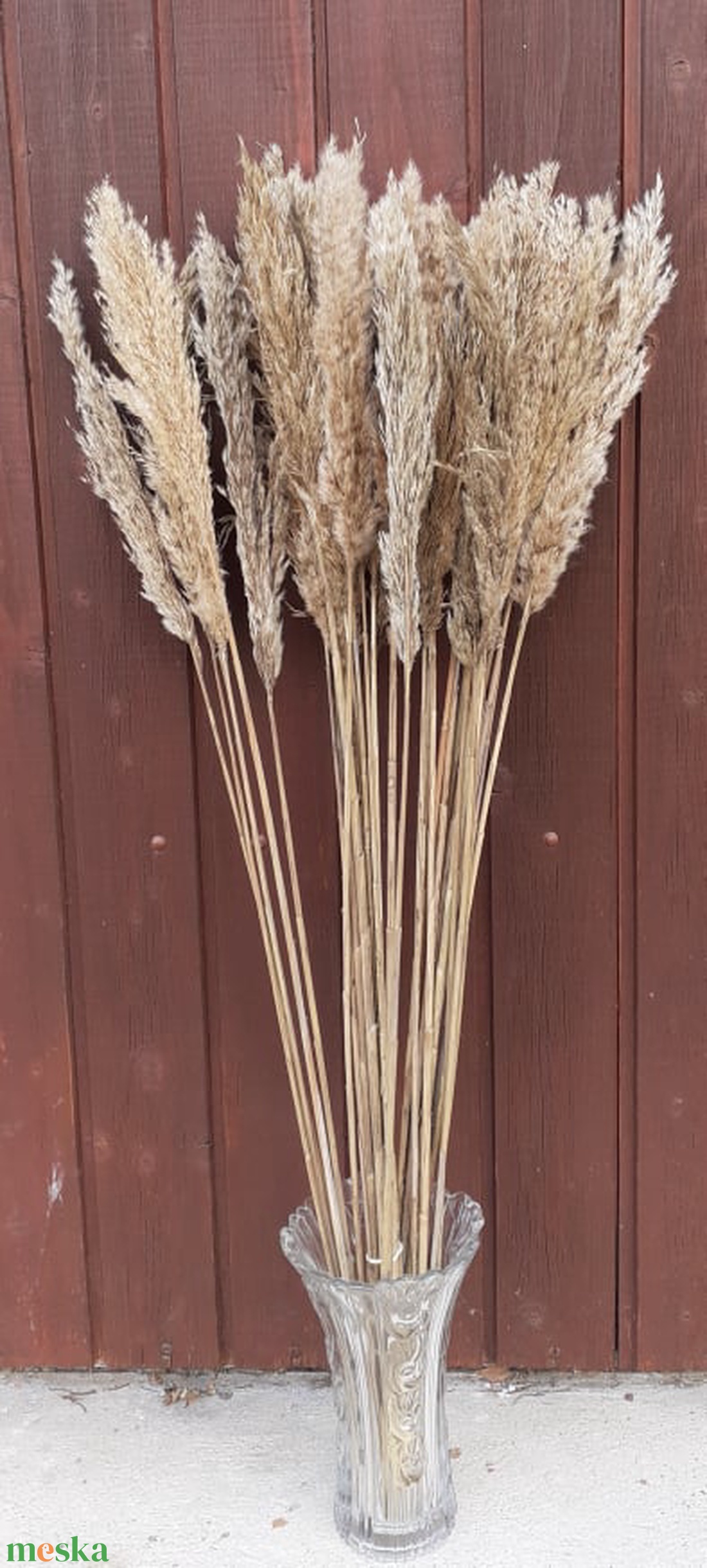 FN-7093. Pampafű natúr és fehérített - kellékek & szerszámok - dekorációs kellékek - egyéb kellékek - Meska.hu