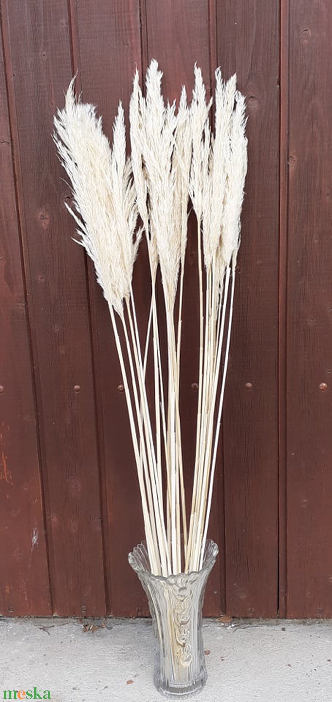FN-7093. Pampafű natúr és fehérített - kellékek & szerszámok - dekorációs kellékek - egyéb kellékek - Meska.hu