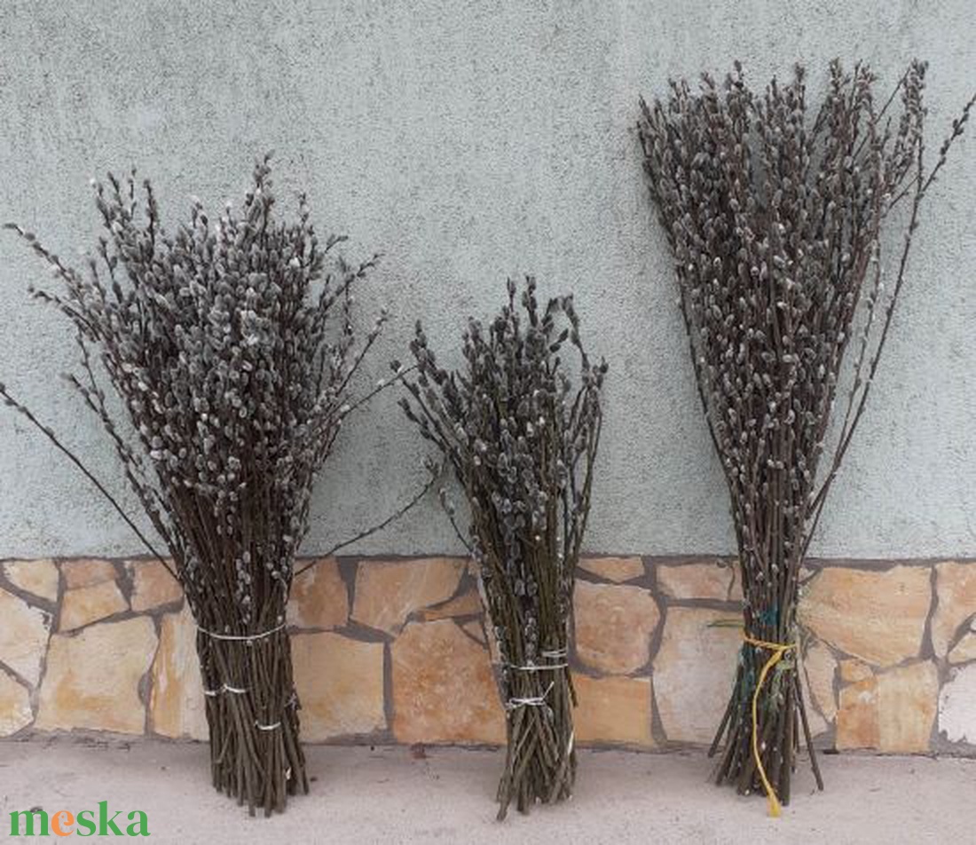 Élő Mini Barka, kb.48cm - kellékek & szerszámok - dekorációs kellékek - egyéb kellékek - Meska.hu Élő Mini Barka, kb.48cm - kellékek & szerszámok - dekorációs kellékek - egyéb kellékek - Meska.hu