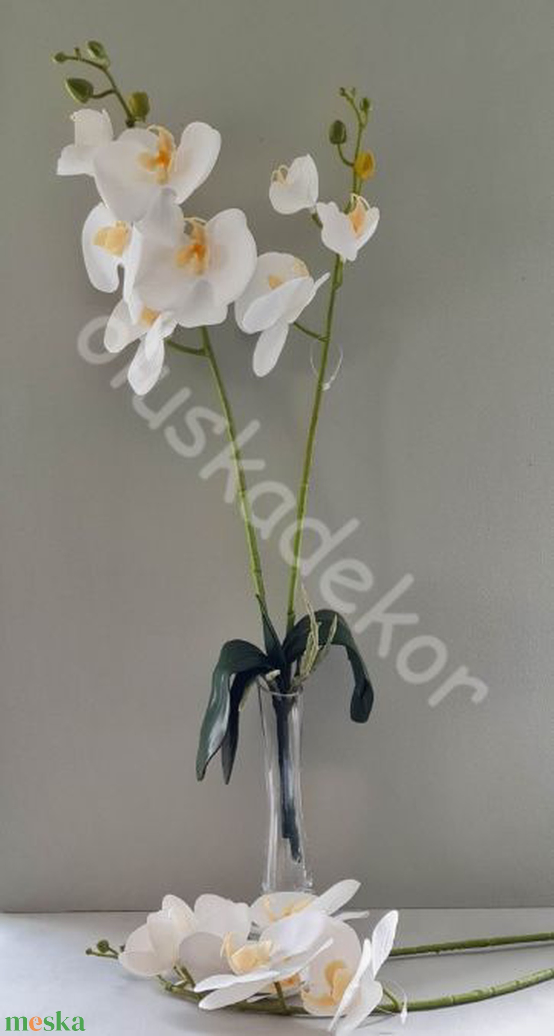 Orchidea, phalaenopsis, élethű, levéllel, légzőgyökér, 2 ág, REAL TOUCH, gumi - kellékek & szerszámok - dekorációs kellékek - egyéb kellékek - Meska.hu Orchidea, phalaenopsis, élethű, levéllel, légzőgyökér, 2 ág, REAL TOUCH, gumi - kellékek & szerszámok - dekorációs kellékek - egyéb kellékek - Meska.hu