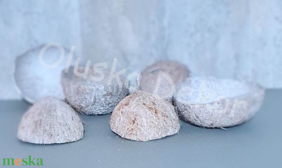 SZT-9043. Kókuszdió héj natúr és havas    4db/cs.  - kellékek & szerszámok - dekorációs kellékek - egyéb kellékek - Meska.hu